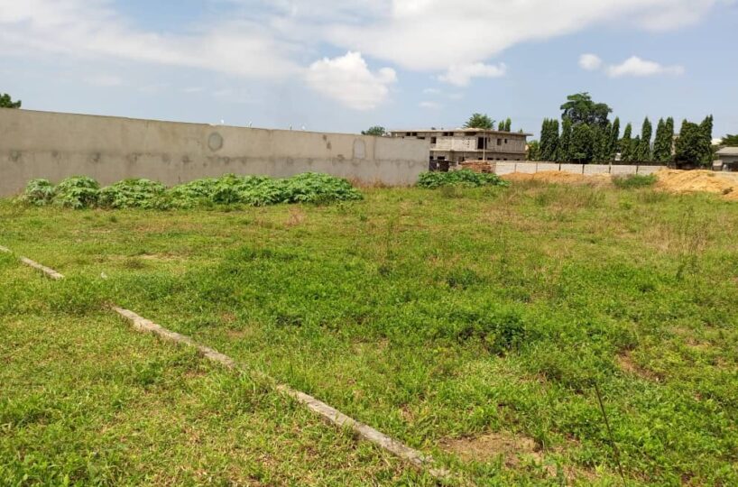 Terrain agricol — Yopougon, Abidjan